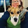 House sit pet parent - 1-bedroom condo with resort-style amenities, while dog-sitting a sweet cuddler!