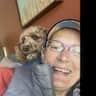 House sit pet parent - 2 hypoallergenic pups in a lovely home tucked in the woods of Port Townsend!
