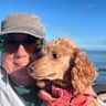House sit pet parent - Sit with a precious poodle in beautiful Sequim, WA.