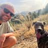House sit pet parent - Loving dogs and cat in the beautiful Spanish country side with pool and views