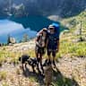 House sit pet parent - Cozy renovated home located in the mountains near Glacier National Park!