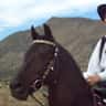 House sit pet parent - Star lit nights and mountain views. Quiet and serene on one acre.