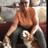 House sit pet parent - Home from Home