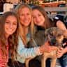 House sit pet parent - Sweet, Low-maintenance Pup in Lovely New England Town between NYC and Boston