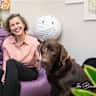 House sit pet parent - Loving sitter with own car wanted for our Labrador and feathered family
