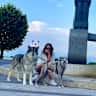 House sit pet parent - Sitter wanted for 2 dogs in Jørpeland. Car available
