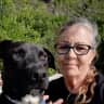 House sit pet parent - Peaceful, lovely 5 acre fenced sanctuary with sweet pets.