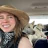 House sit pet parent - Santa Fe Railyard Home Seeking Experienced Sitter for Two Large Active Dogs
