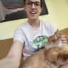 House sit pet parent - Seeking sitter for shy but cuddly orange cat in spacious, two-bedroom house