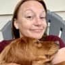 House sit pet parent - Cape Cod Home