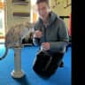 House sit pet parent - Cat sitting near the beach!!