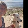 House sit pet parent - Lovely spacious home in beautiful Jersey with two large characterful rescue dogs