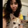 House sit pet parent - Come hang out with a 10 lb scruffy love ball in a spacious LES condo!