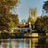 House sit pet parent - House and pet sitter needed at a lovely village in South Yorkshire.