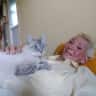 House sit pet parent - Calm countryside locale with happy fur family - non smokers only please.