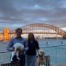 House sit pet parent - Lovely happy lab in gorgeous harbour side Sydney home