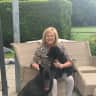 House sit pet parent - Cute little house, Fordingbridge, near to The New Forest. 2 lovely dogs and a Ragdoll cat need a house sitter, a couple of times per year.