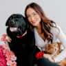 House sit pet parent - Looking for house sitter - 2 dogs in bear Mtn, quiet neighborhood & peaceful dog