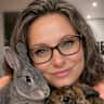 House sit pet parent - Two North Sydney bunnies need a friend to stay with.