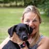 House sit pet parent - Beautiful house and friendly Labrador on the edge of the South Downs