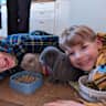 House sit pet parent - Take car of our two lovely little rabbits in our home in Utrecht, Netherlands