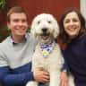 House sit pet parent - Central Canterbury - Dog sit for our cuddly goldendoodle