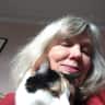 House sit pet parent - Sitter needed for London house and calico cat