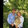 House sit pet parent - Rural Wiltshire home, with two easy to care for Border Terriers.