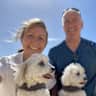 House sit pet parent - House and dog sitter needed for two little dogs
