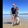 House sit pet parent - Border collie in Melbourne close to beach