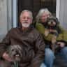 House sit pet parent - Retired couple need dog sitter(s) for 8 days, March 31 through April 7, 2024