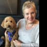 House sit pet parent - Penny is looking for sitters for house and cockapoo Molly in Muswell Hill