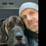 House sit pet parent - Caring for a amazing Mastiff on Vashon Island just off of Seattle