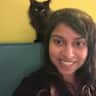 House sit pet parent - Cat sitters required for 2,5 weeks for 2 sweet and cuddly cats