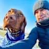 House sit pet parent - A week in Ratho, Edinburgh with a Vizsla! Close to EICC and Lost Shore Surf