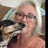 House sit pet parent - Lovable dauschund would like someone to kiss & cuddle!