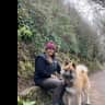 House sit pet parent - Giant fluffy dog sit in Buckingham