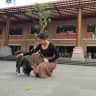 House sit pet parent - Bingin Beach House Sit: Pet Care and Comfort.