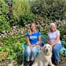 House sit pet parent - Caring Pet Sitter needed in August for a lovely Senior Golden Retriever ‘Sasha’