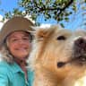 House sit pet parent - We are on 60 acres in the TX Hill Country, close to the Pedernales River. Call