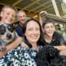 House sit pet parent - Blue Healer & Cavoodle sitter in 4Brm house Austinville (Back of Mudgeeraba GC)