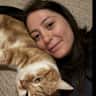 House sit pet parent - My sweet cat Badem needs a cat sitter who wants to stay in Amsterdam