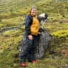 House sit pet parent - Icelandic sheepdog in Kópavogur, Iceland, is looking for a petsitter .