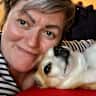 House sit pet parent - Lovely house in a quiet area with a lovely dog!