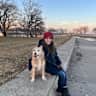House sit pet parent - See Chicago and an Adorable Pup!