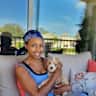 House sit pet parent - Goldendoodle Puppy in Sunny Florida