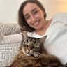 House sit pet parent - Quiet North Sydney Apartment & Sweet Low-Maintenance Cat