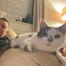 House sit pet parent - Wonderful Welsh home with 2 cats requires sitter until February 25th 2027