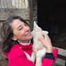 House sit pet parent - Peaceful French Countryside Escape with Wonderful Animal Companions