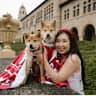 House sit pet parent - Cozy Mountain View Home in Silicon Valley + Two Sweet Shiba Inus Siblings